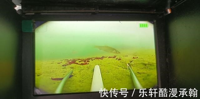 冬季野钓请避开这几个坑,大板鲫拉到手软