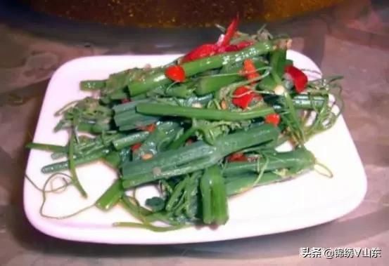 杏鲍菇|简单不失美味的12道家常菜，好吃又营养，全家人都爱吃