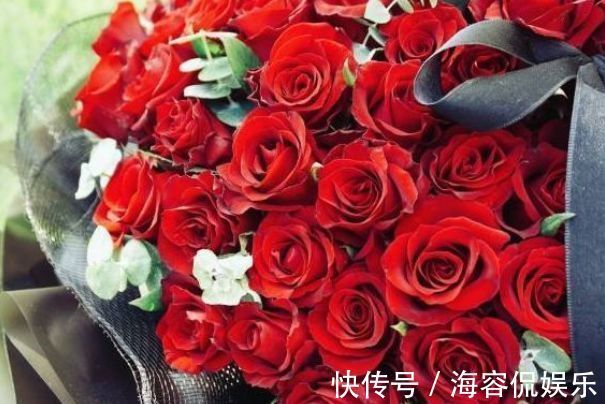 菊花|喜欢菊花，不如养盆优良玫瑰“卡罗拉”，花开红如焰火，绚丽典雅