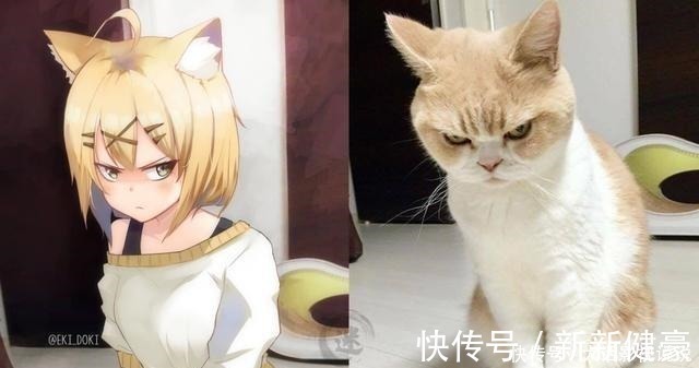 猫娘乐园|万物皆可“拟人化”,躲过可爱的舰娘和机车娘,却羡慕猫狗的爱情