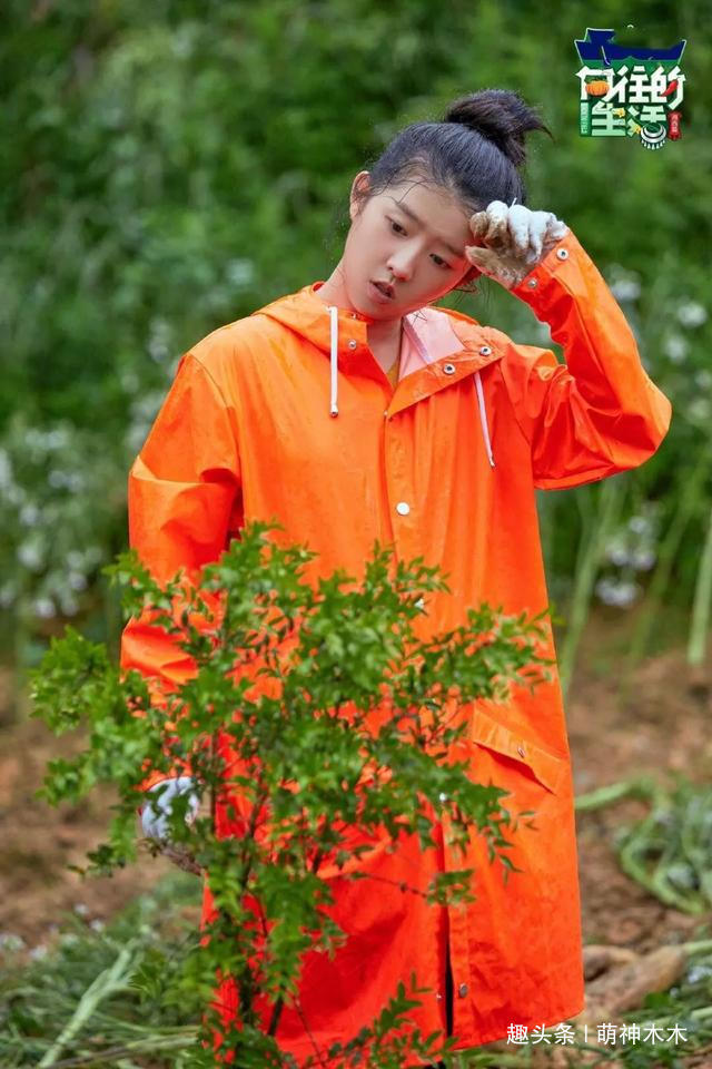 《向往的生活》看人下菜碟從鏡頭播送量就能看出，差別待遇明顯