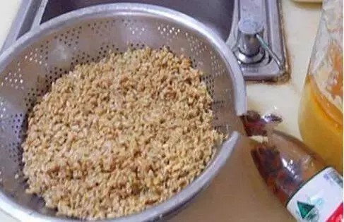 吃剩的米饭别浪费,稍微处理一下,一款秋冬季钓鱼的好钓饵就有了