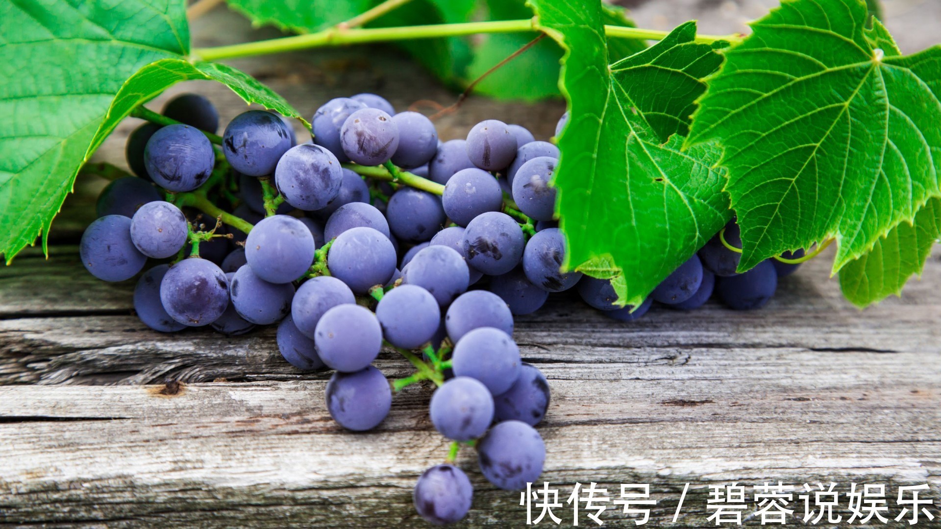 禁忌|吃葡萄有三个禁忌,尤其是第2个很多人经常犯错误!你清楚了吗