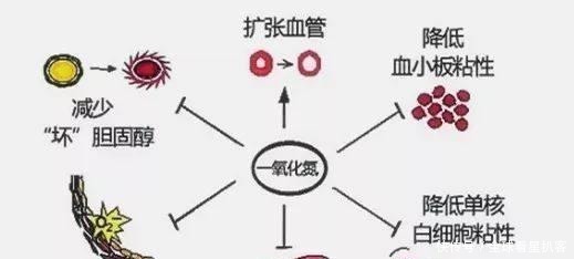 高血压、高血脂、高血糖不能吃的食物，非常全