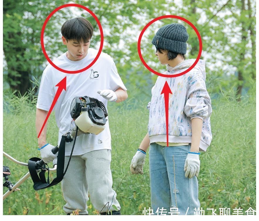 何炅|向往5最后一期录制,张艺兴彭昱畅直播晒合照,黄磊发文满是不舍