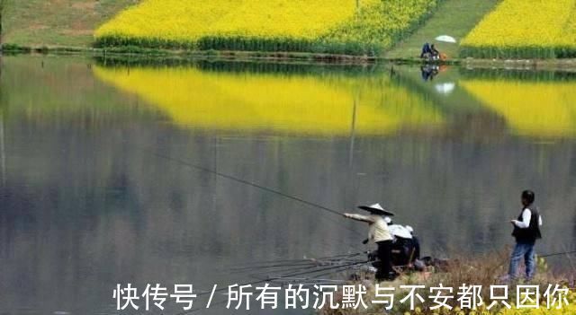 春钓时,每天这两个时间段钓鱼都是连竿,许多钓友竟然还在睡觉