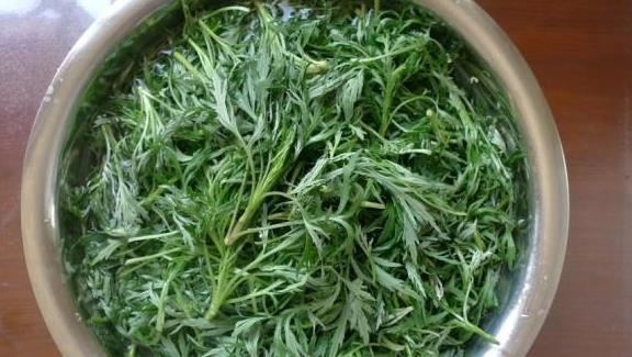 良药|北方农村特有的野菜,长得酷似艾草,却是民间降压良药,20元一斤