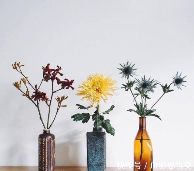 获益|值得收藏一辈子的好句子,经典睿智,句句获益!