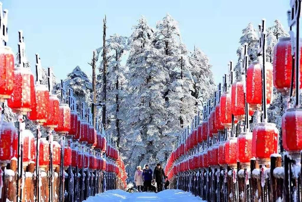 瓦屋山也下雪啦！长达半年的最佳赏雪期，不要错过！