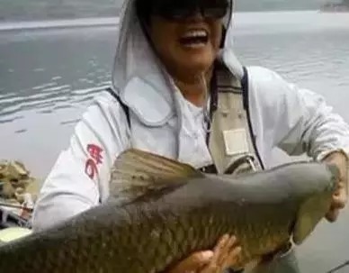 雾化|自制鲤鱼饵料简单天然,钓大鱼一绝,配方公开!