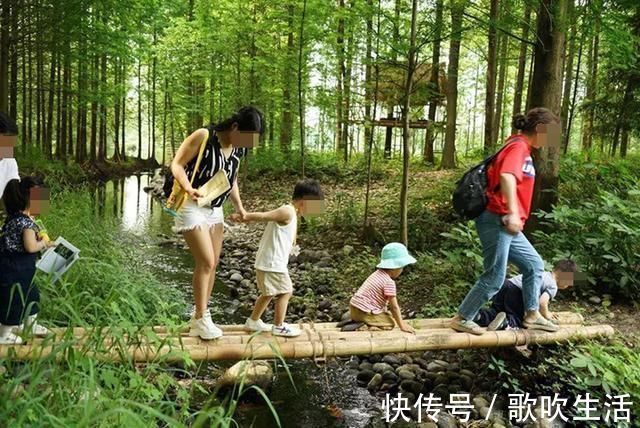 发育|智力是天生的,父母后天教育作用不大?错!孩子脑部发育有关键期