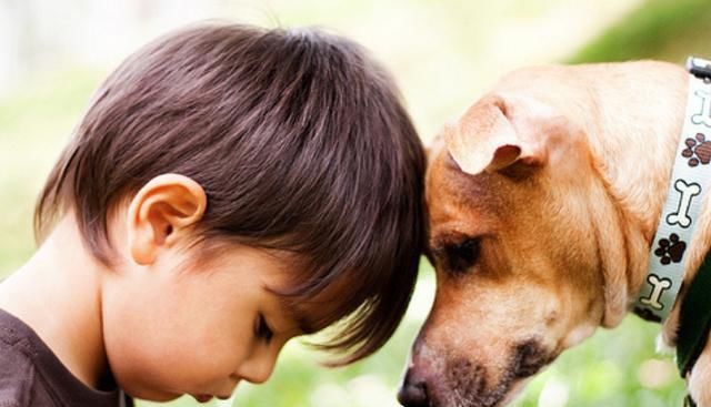 小仓鼠|5岁女孩在公交车上,“恶心”行为引全车人不满,被妈妈带坏了