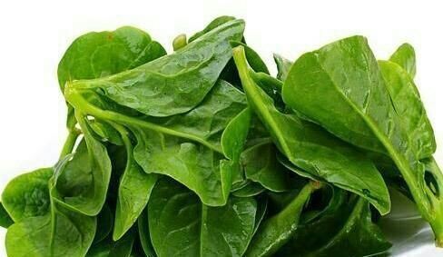 忠告|忠告：炒木耳菜不能放此物，怪不得身体这么差，现在知道还不晚！