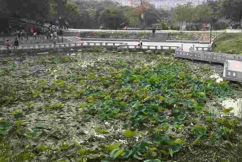 福建又一公园走红，有莆田“后花园”之称，公交直达门票还免费