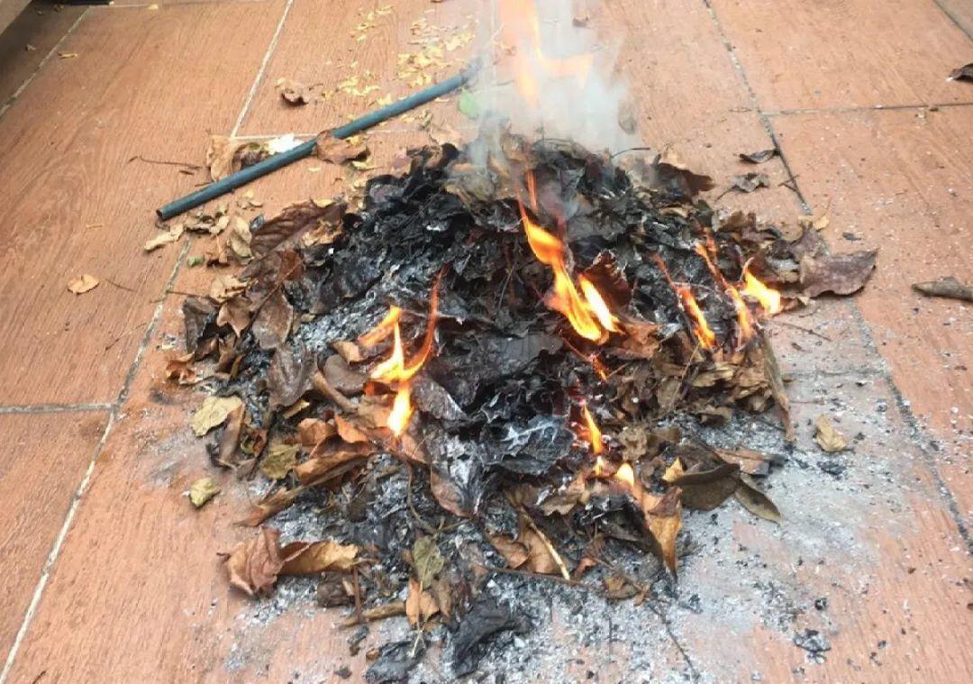 10个偏方,能省不少钱,把花养的又肥又壮