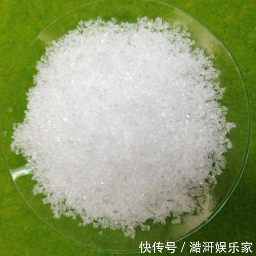 文竹|文竹黄叶不要慌,这“3种”物品,兑水浇盆里,黄叶全不见!