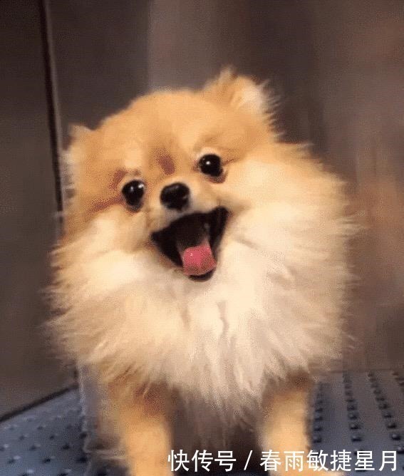 宫崎骏|网友无意间被拉进一个cos群,结果深夜被踢出群聊,原因是哈哈哈