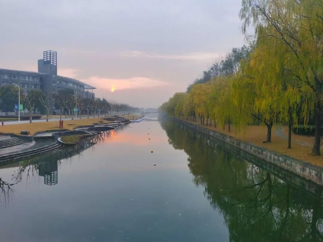 古城|春到同济!太(you)爱(fu)了(li)!