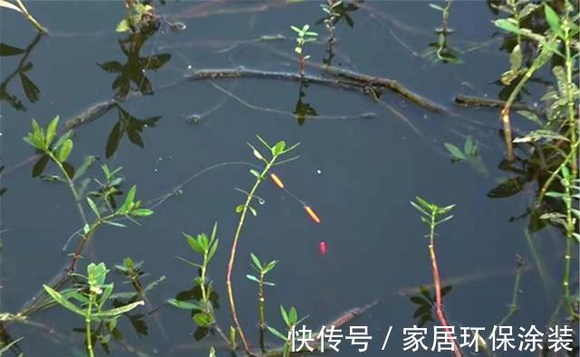 鲫鱼|七星漂钓组的5种搭配变化，一杆一线走天下，什么水面都不怕