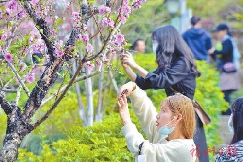 冬去千山醒 春来百花开