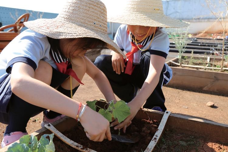 黄伟星|大司巷小学教育集团总校长黄伟星： 育人为本 打造小学和悦教育