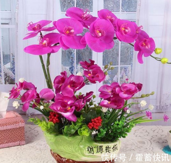 “4种花”寓意好,招财、旺家好兆头,开花还多,越养越喜欢!