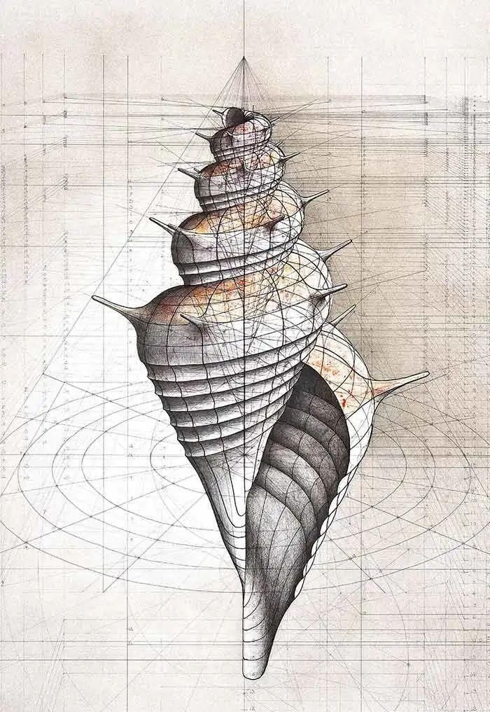 黄金比例!理工男花40年时间,用圆规画1000张画,黄金比例的拥护者