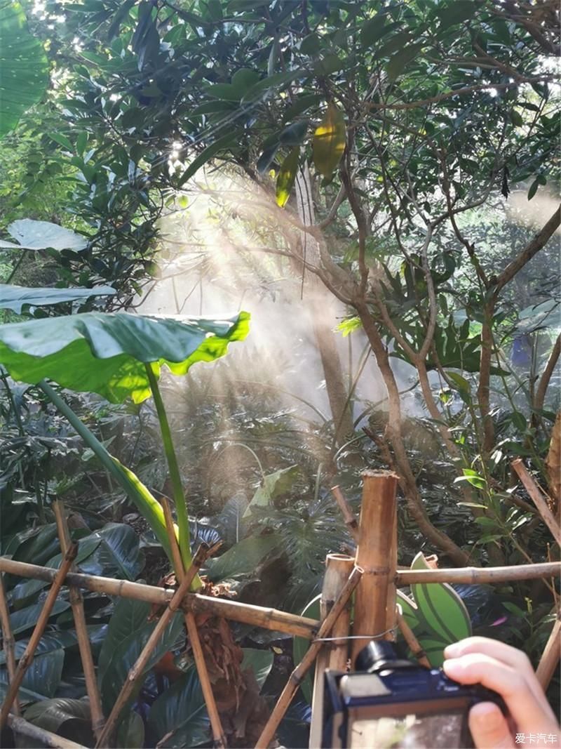 花海|厦门自由行