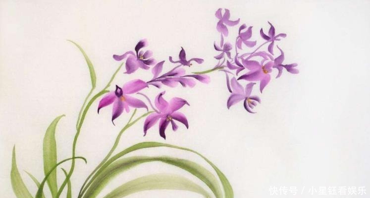 增强|栽培兰花要知道怎样增强盆的通透性,如何解决兰盆底气问题