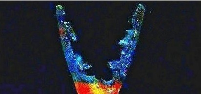 冷军!他画了把破剪刀卖162万,网友看不懂,专家:放大8倍,看那是啥