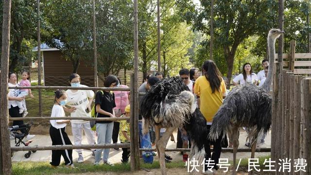 人与自然|秋高气爽宜出游，郑州园博园游人如织