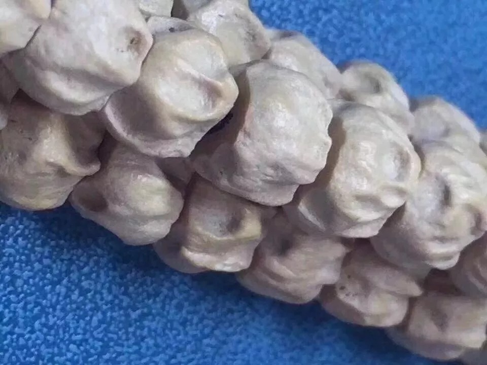 处处|百香籽可别随便买,处处是坑!