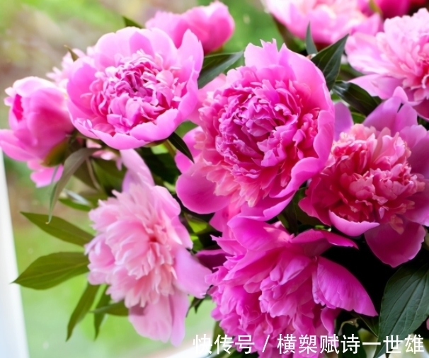 新事物|步入11月,4个星座,温暖贴心,照顾伴侣,爱情顺风顺水