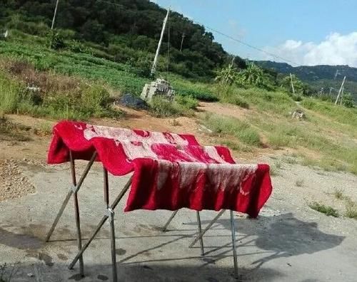  毛毯|听说，你家里也有一床没咋洗过的花毛毯？