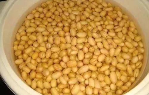  豆豉是什么？怎样自己在家里做？