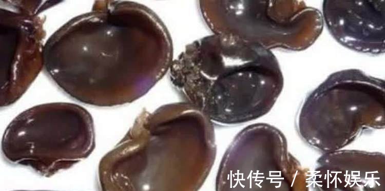 叶三苜蓿齿|爱美女性多吃3种食物,营养丰富、滋润身体,早吃早健康!