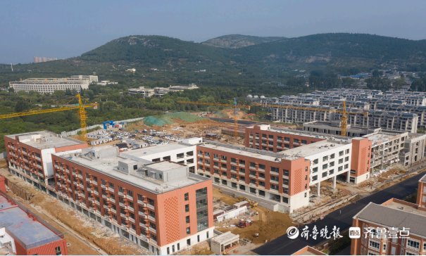 占地面积|枣庄市驻地新建的10所学校在哪、容纳多少学生，详细信息来了