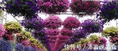 郁金香|7个绝美花园，个个美炸了天，等有钱了我也要建一个