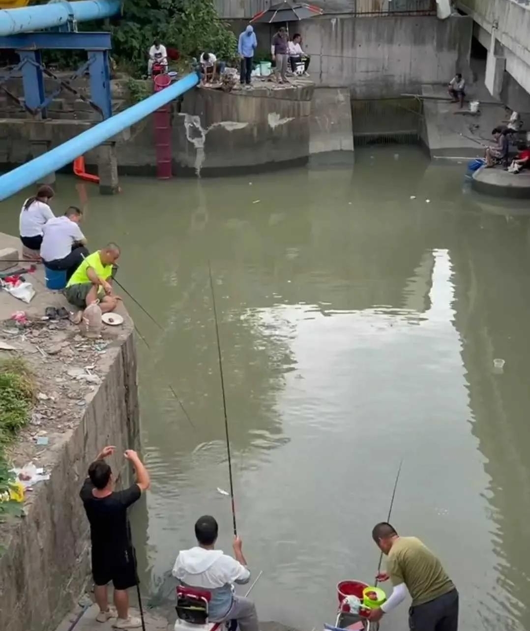 上海与众不同的“黑坑”,钓鱼不要交费,每天都有成百上千人聚集