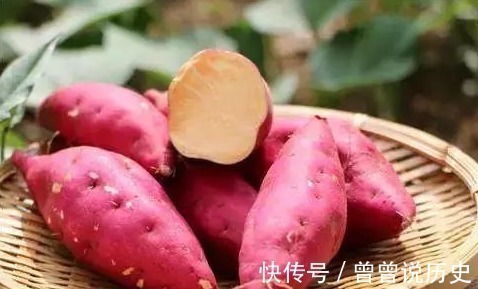 呵护|对眼睛最好3种的“食物”，隔三差五吃一点，助你恢复”好视力“