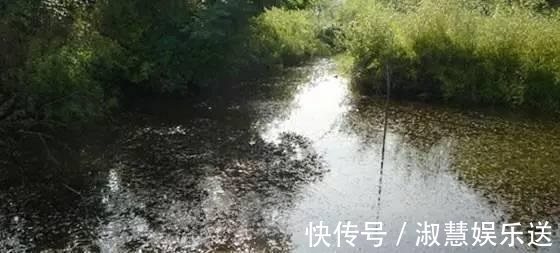 钓位|野钓时遇到这样的钓位别错过，这些都是绝佳的钓位！