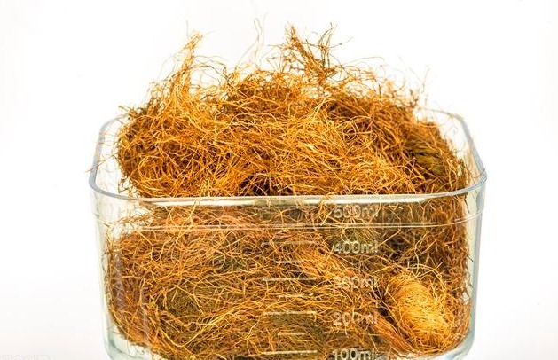 好事|每天用“玉米须”泡水喝,坚持2个月,这4件好事会降临在你身上