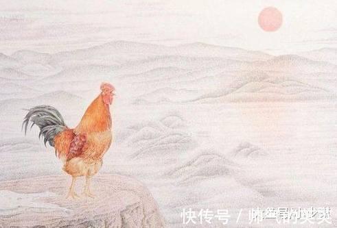 经典|绝对! 上联 对牛弹琴牛不理, 高僧的试对经典到爆!