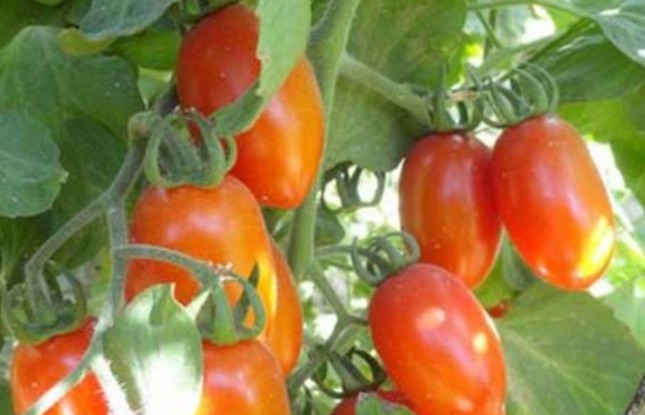 皱纹|女性不想皱纹爬满脸,每天当零食吃,大肚腩不见了,皮肤更水嫩!