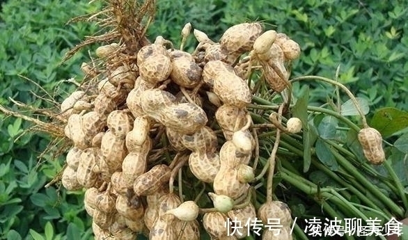 记忆力|花生与它是绝配,连吃7天,清血管,降血压,记忆力强,身体棒!