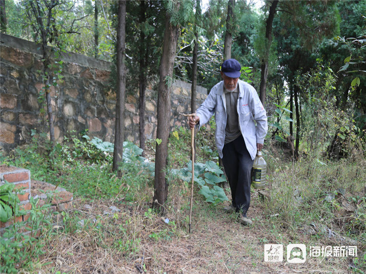 山林|薛城区常庄街道八旬老人守山护林十八年