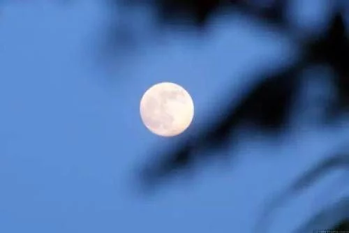 「青未了」月到中秋分外明