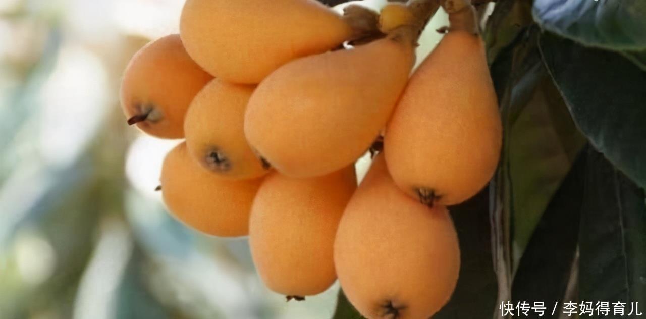 润肠|冬季养生,推荐常吃3种食物,清热排毒,润肠通便,调理气血