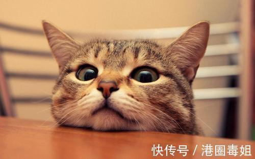 |幽默笑话:小时候有次我牙疼告诉老爸,他为了哄我把脸上扑上面粉