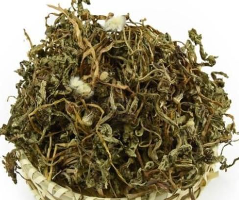 排毒|中医养生：夏季用这4个常见中草药泡水喝，健脾祛湿，清热排毒